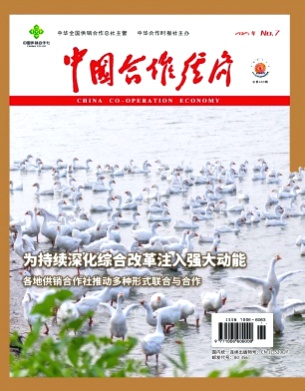 中国合作经济杂志